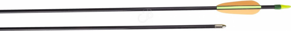 5x sport arrow fiberglass arrow, 28 inches, Bignami Italy with tip, youth